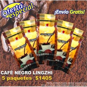 5 bolsas cafe negro lingzhi